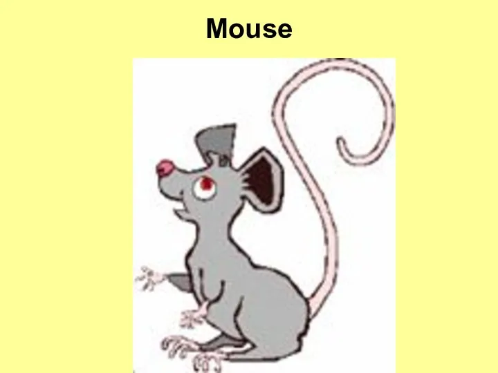 Mouse