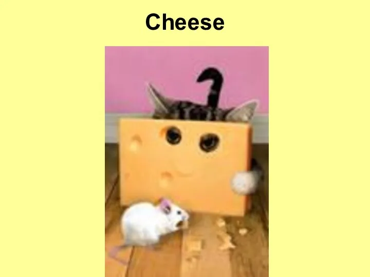 Cheese