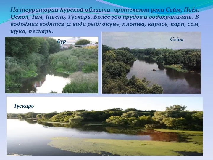 На территории Курской области протекают реки Сейм, Псёл, Оскол, Тим, Кшень, Тускарь. Более