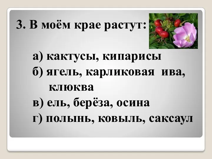 3. В моём крае растут: а) кактусы, кипарисы б) ягель,