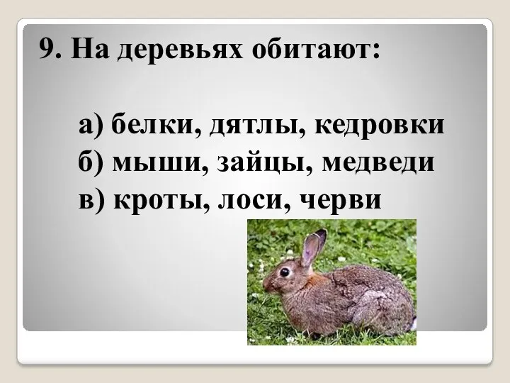 9. На деревьях обитают: а) белки, дятлы, кедровки б) мыши, зайцы, медведи в) кроты, лоси, черви