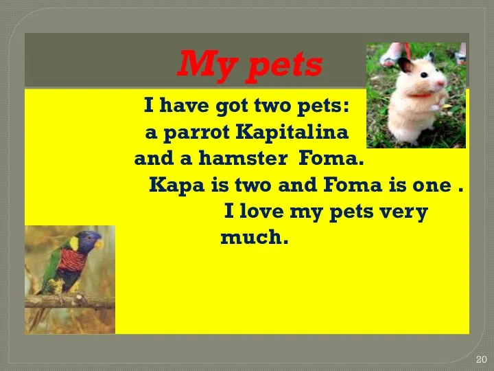My pets I have got two pets: a parrot Kapitalina