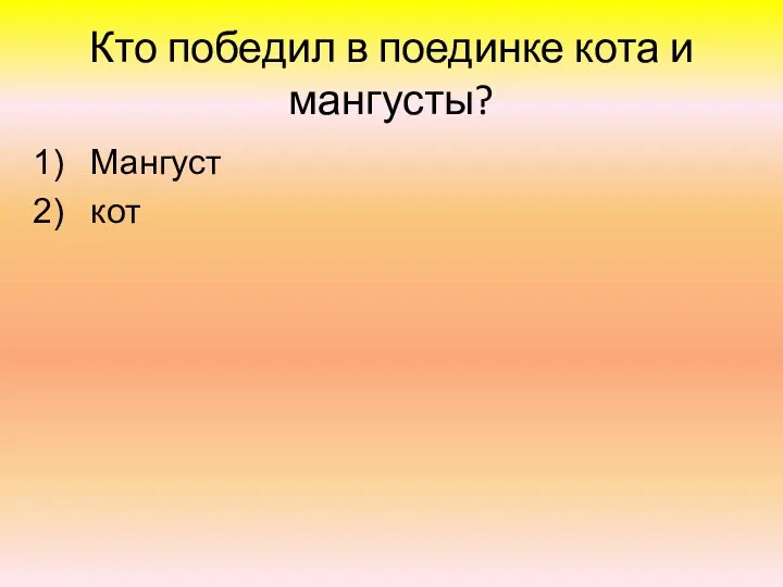 Кто победил в поединке кота и мангусты? Мангуст кот