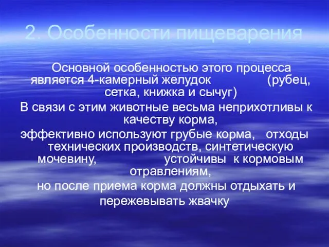 2. Особенности пищеварения Основной особенностью этого процесса является 4-камерный желудок