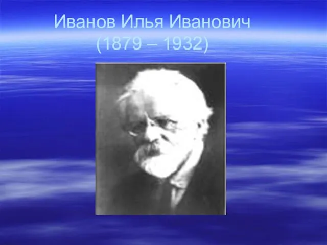 Иванов Илья Иванович (1879 – 1932)