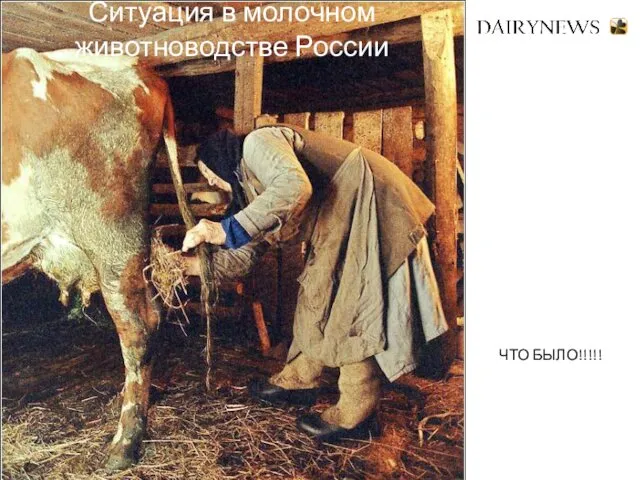 Ситуация в молочном животноводстве России ЧТО БЫЛО!!!!!