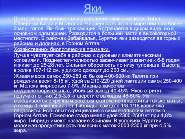 Яки. Центром одомашнивания и разведения яков считается Тибет, Северный Китай