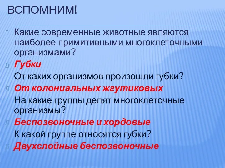 Вспомним! Какие современные животные являются наиболее примитивными многоклеточными организмами? Губки