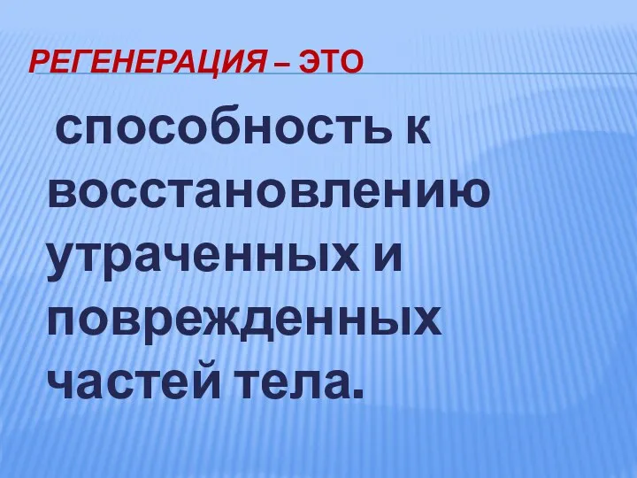 Регенерация – это способность к восстановлению утраченных и поврежденных частей тела.