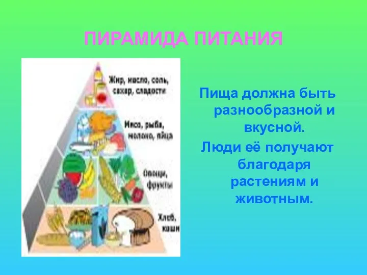 ПИРАМИДА ПИТАНИЯ Пища должна быть разнообразной и вкусной. Люди её получают благодаря растениям и животным.