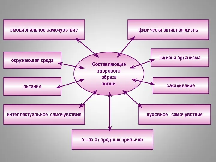 Составляющие здорового образа жизни окружающая среда отказ от вредных привычек