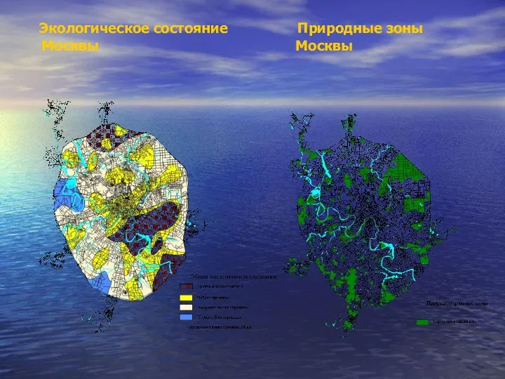 Экологическое состояние Природные зоны Москвы Москвы