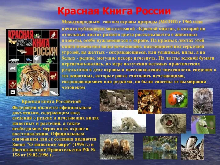 Красная Книга России Международным союзом охраны природы (МСОП) с 1966 года начата публикация