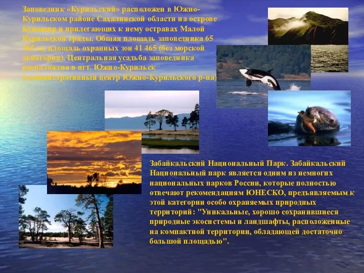 Забайкальский Национальный Парк. Забайкальский Национальный парк является одним из немногих национальных парков России,