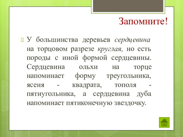 У большинства деревьев сердцевина на торцовом разрезе круглая, но есть