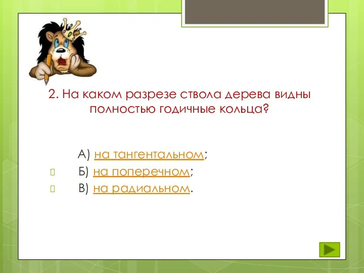 2. На каком разрезе ствола дерева видны полностью годичные кольца?