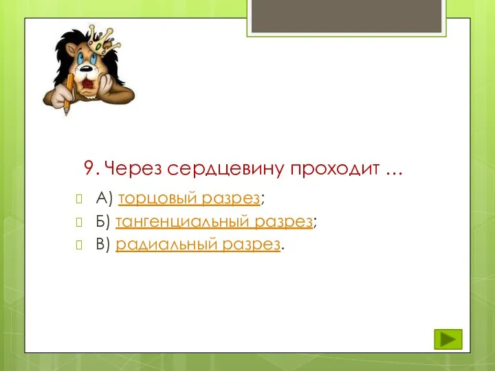 9. Через сердцевину проходит … А) торцовый разрез; Б) тангенциальный разрез; В) радиальный разрез.