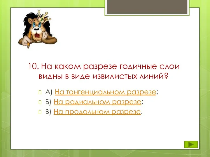 10. На каком разрезе годичные слои видны в виде извилистых