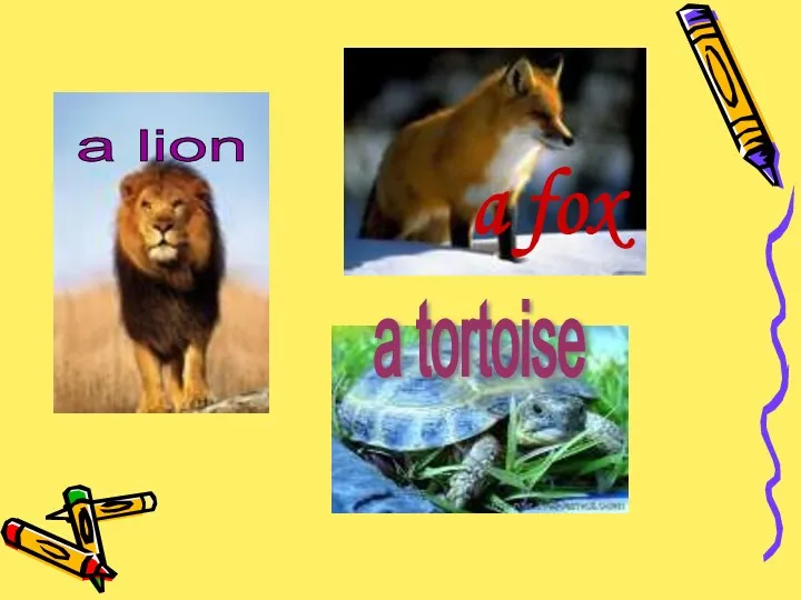 a lion a fox a tortoise