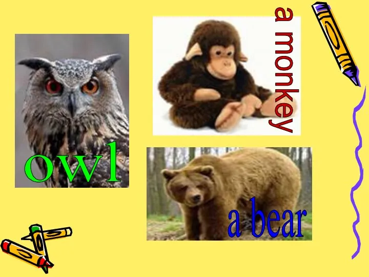 owl a monkey a bear