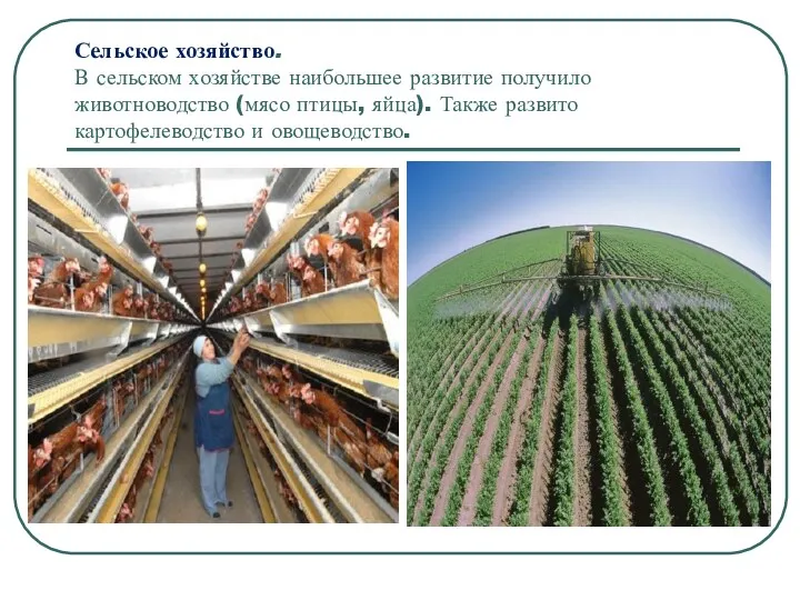 Сельское хозяйство. В сельском хозяйстве наибольшее развитие получило животноводство (мясо