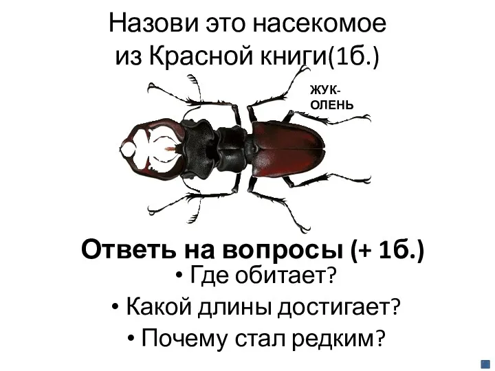 Назови это насекомое из Красной книги(1б.) Ответь на вопросы (+ 1б.) Где обитает?