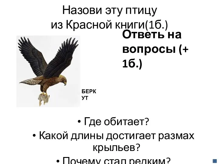 Назови эту птицу из Красной книги(1б.) Ответь на вопросы (+ 1б.) Где обитает?