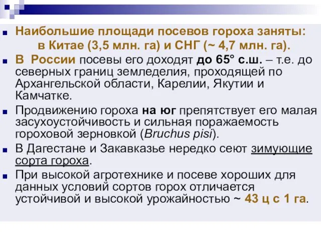 Наибольшие площади посевов гороха заняты: в Китае (3,5 млн. га) и СНГ (~