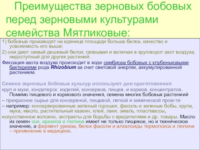 Преимущества зерновых бобовых перед зерновыми культурами семейства Мятликовые: 1) бобовые производят на единице