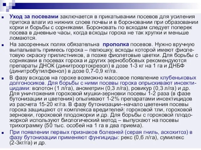 Уход за посевами заключается в прикатывании посевов для усиления притока влаги из нижних