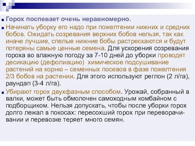 Горох поспевает очень неравномерно. Начинать уборку его надо при пожелтении