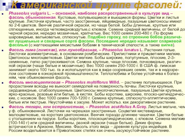 К американской группе фасолей: Phaseolus vulgaris L. – основной, наиболее