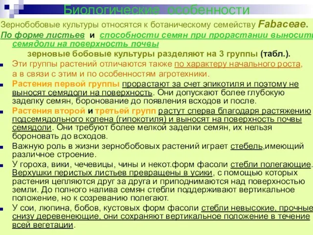 Биологические особенности Зернобобовые культуры относятся к ботаническому семейству Fabaceae. По форме листьев и