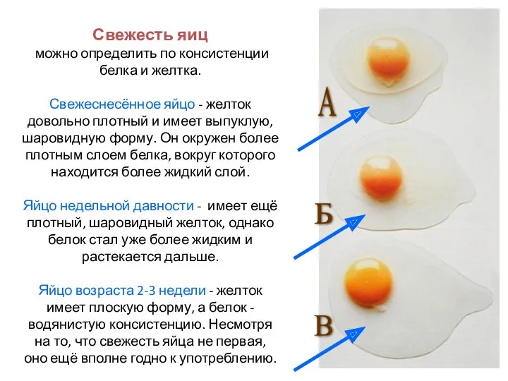 Свежесть яиц можно определить по консистенции белка и желтка. Свежеснесённое
