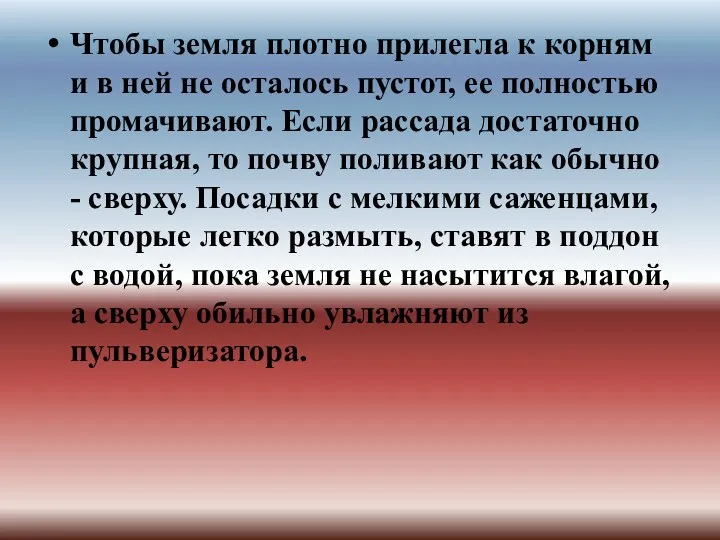 Чтобы земля плотно прилегла к корням и в ней не осталось пустот, ее