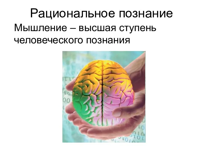 Рациональное познание Мышление – высшая ступень человеческого познания