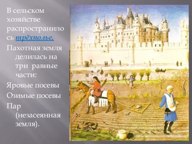 В сельском хозяйстве распространилось трёхполье. Пахотная земля делилась на три равные части: Яровые