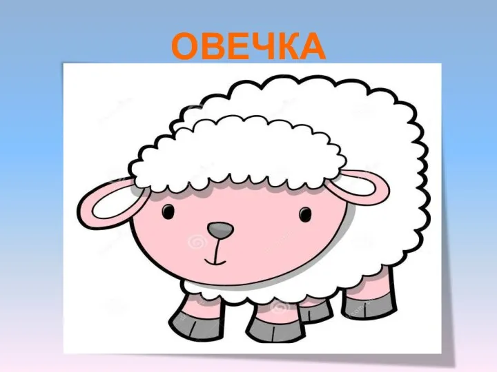 ОВЕЧКА