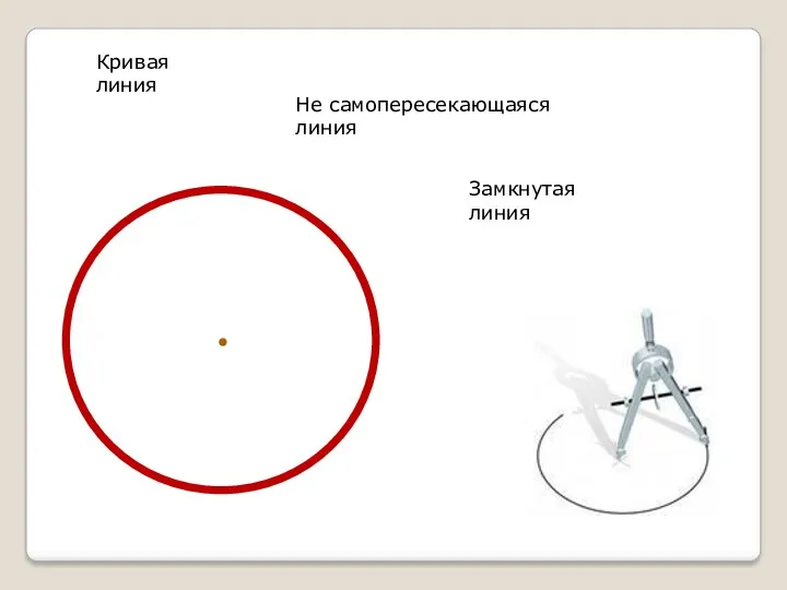 Замкнутая линия Кривая линия Не самопересекающаяся линия