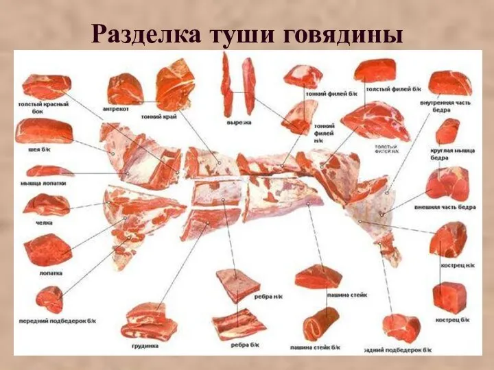 Разделка туши говядины