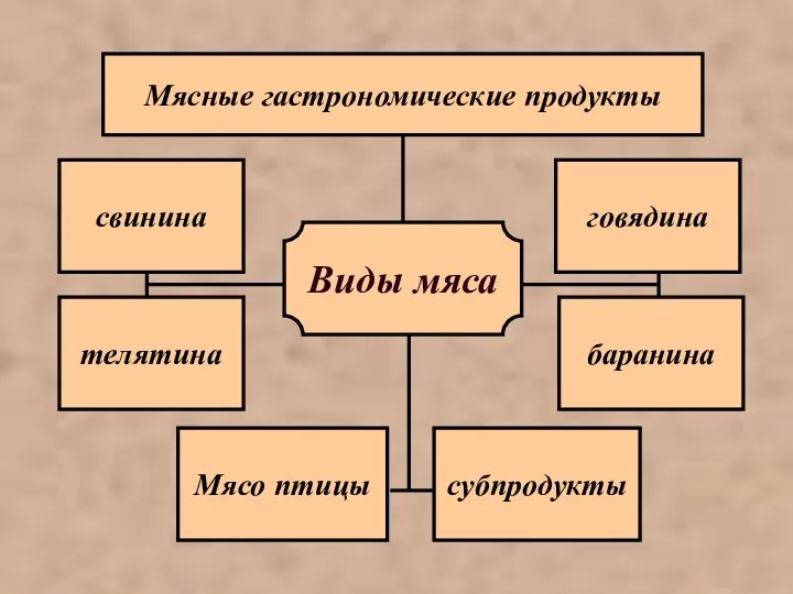 Виды мяса Мясные гастрономические продукты телятина говядина свинина баранина Мясо птицы субпродукты