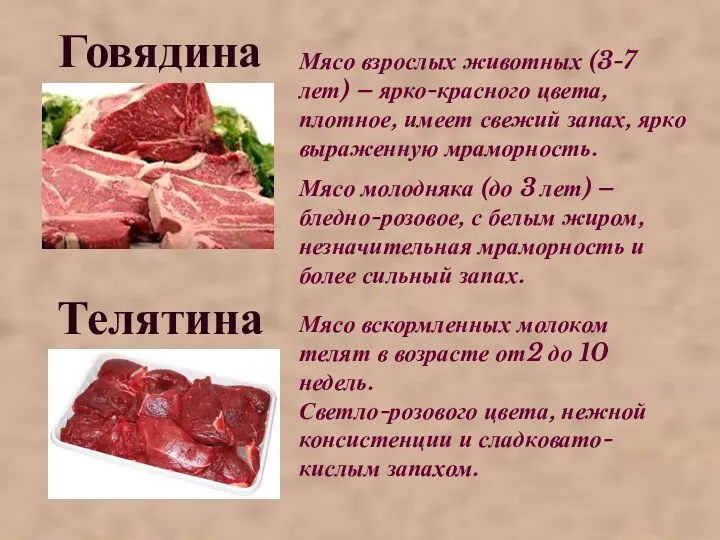 Говядина Мясо взрослых животных (3-7 лет) – ярко-красного цвета, плотное,