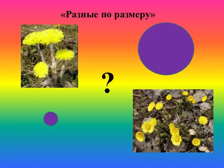 ? «Разные по размеру»