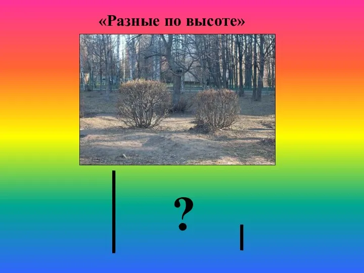 ? «Разные по высоте»