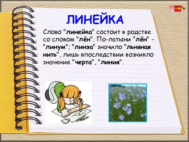 ЛИНЕЙКА Слово "линейка" состоит в родстве со словом "лён". По-латыни "лён" - "линум";