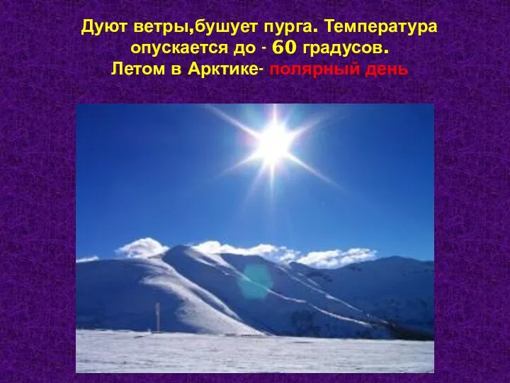 Дуют ветры,бушует пурга. Температура опускается до - 60 градусов. Летом в Арктике- полярный день