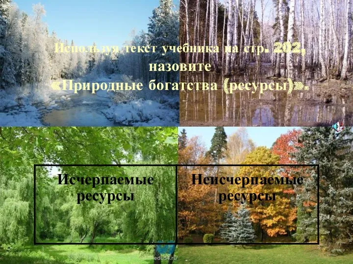 Используя текст учебника на стр. 202, назовите «Природные богатства (ресурсы)».