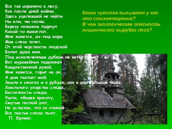 Все так изранено в лесу, Как после дней войны. Здесь