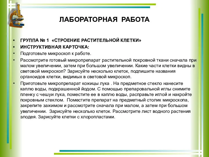 ЛАБОРАТОРНАЯ РАБОТА ГРУППА № 1 «СТРОЕНИЕ РАСТИТЕЛЬНОЙ КЛЕТКИ» ИНСТРУКТИВНАЯ КАРТОЧКА: