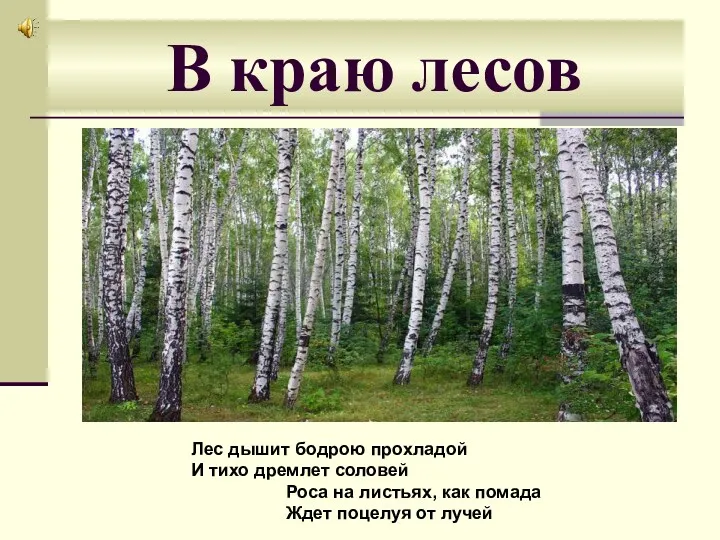 В краю лесов Лес дышит бодрою прохладой И тихо дремлет соловей Роса на